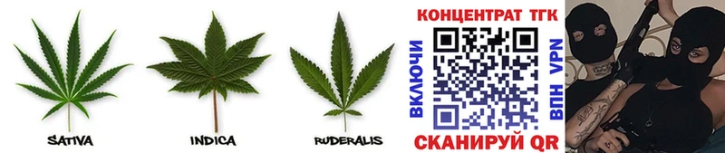 MEGA ССЫЛКА  Яхрома  Дистиллят ТГК THC oil 